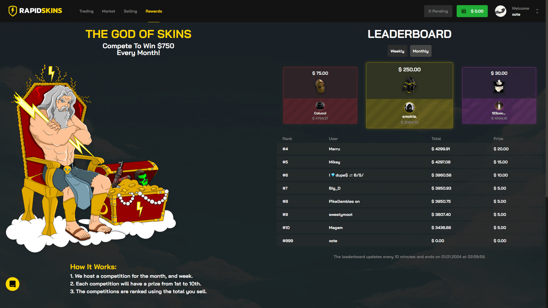 RAPIDSKINS ScreenShot 5