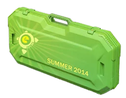 eSports 2014 Summer Case