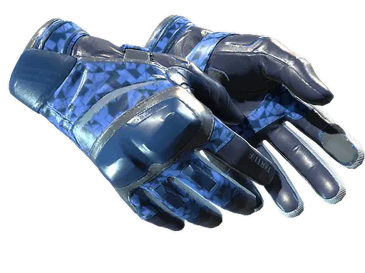 Moto Gloves | Polygon