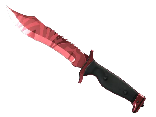 Bowie Knife | Slaughter