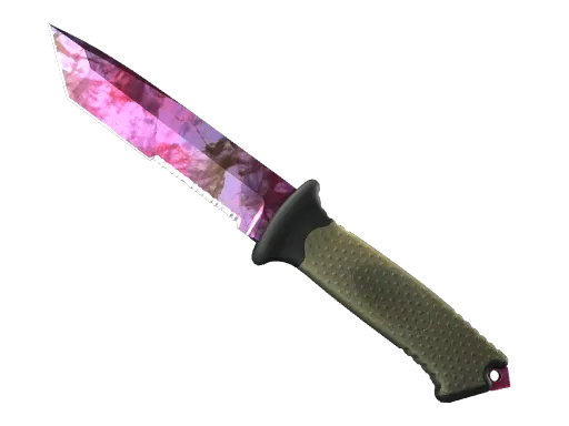 Ursus Knife | Doppler Phase 2