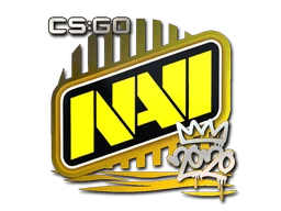 Natus Vincere | 2020 RMR