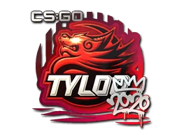 TYLOO | 2020 RMR