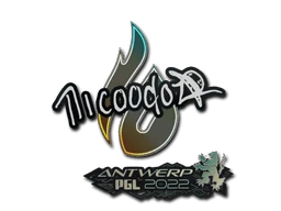 nicoodoz | Antwerp 2022