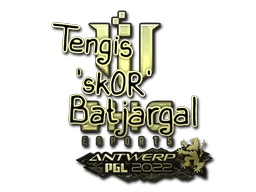 sk0R (Gold) | Antwerp 2022