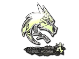 Team Spirit (Holo) | Antwerp 2022