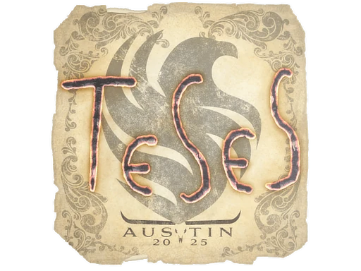 TeSeS | Austin 2025