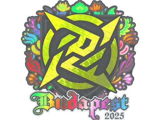 Ninjas in Pyjamas (Holo) | Budapest 2025