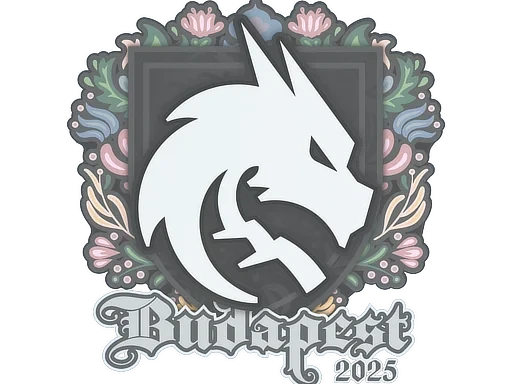 Team Spirit | Budapest 2025