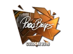 pashaBiceps (Foil) | Cologne 2016