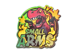 Sticker | Small Arms (Holo)