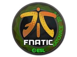 Fnatic (Holo) | Katowice 2019