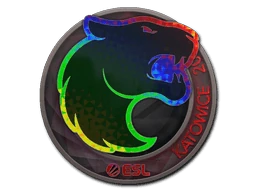 FURIA (Holo) | Katowice 2019