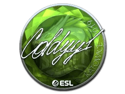 COLDYY1 (Foil) | Katowice 2019