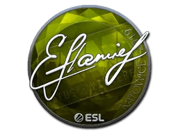 flamie (Foil) | Katowice 2019