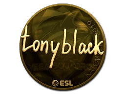 tonyblack (Gold) | Katowice 2019