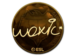 woxic (Gold) | Katowice 2019