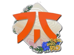 Fnatic | Rio 2022