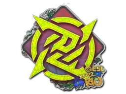 Ninjas in Pyjamas (Glitter) | Rio 2022