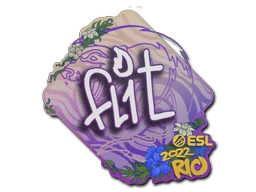 FL1T | Rio 2022