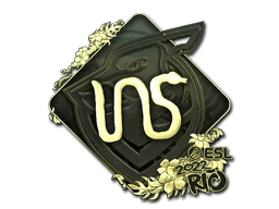 INS (Gold) | Rio 2022