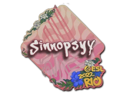sinnopsyy | Rio 2022