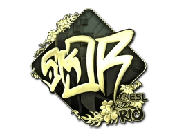 sk0R (Gold) | Rio 2022