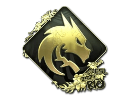 Team Spirit (Gold) | Rio 2022