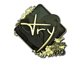 TRY (Gold) | Rio 2022