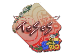 TeSeS | Rio 2022